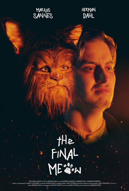 Poster The Final Meow